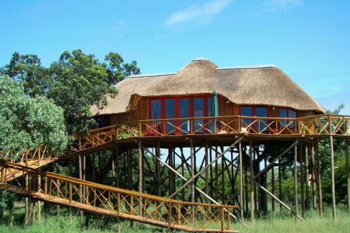 Pezulu Tree House (11)